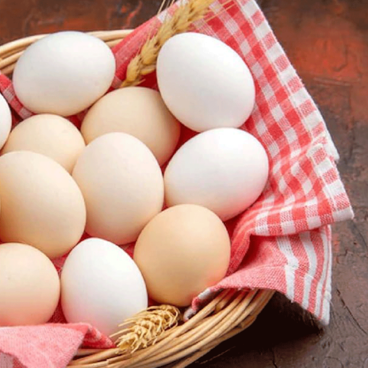 نگهداری صحیح تخم مرغ؛ راهنمای کامل افزایش ماندگاری و حفظ کیفیت